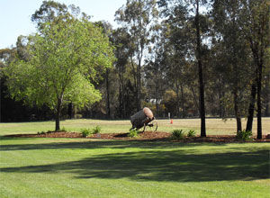 Looking towards Driving Range Looking towards Driving Range